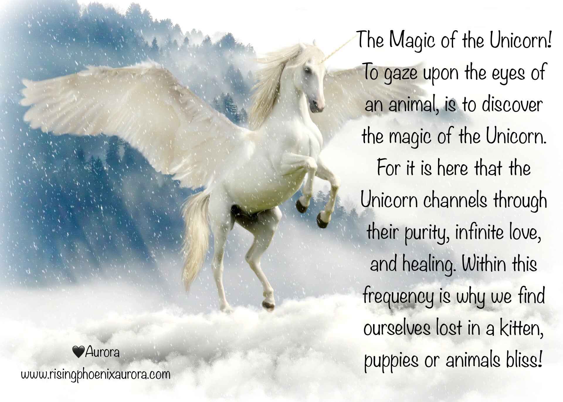 The Magic of the Unicorn