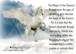 The Magic of the Unicorn