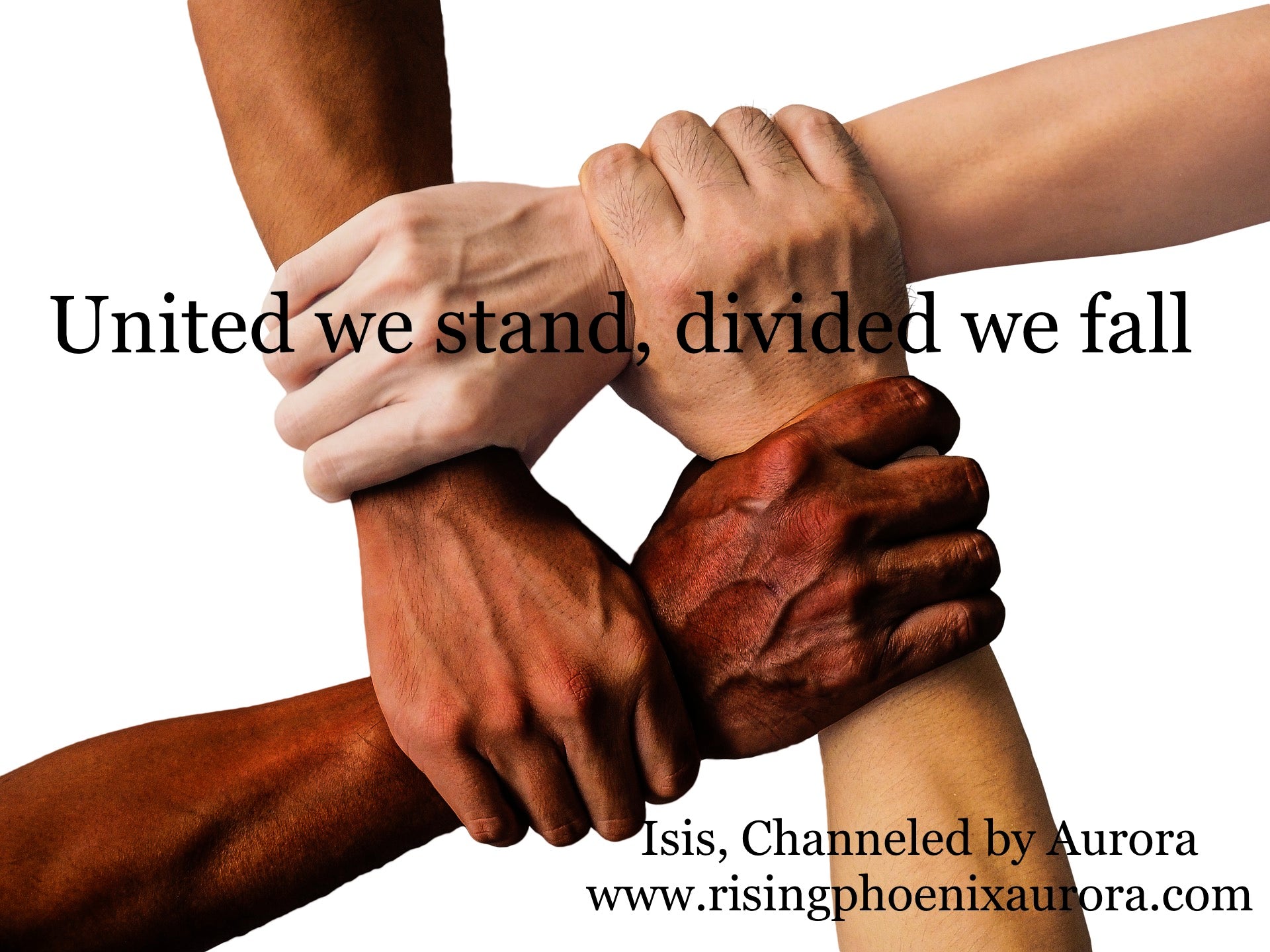 United We Stand, Divided We Fall, Isis